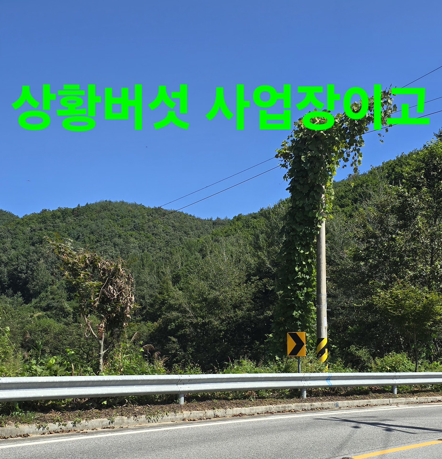 무진장 이미지