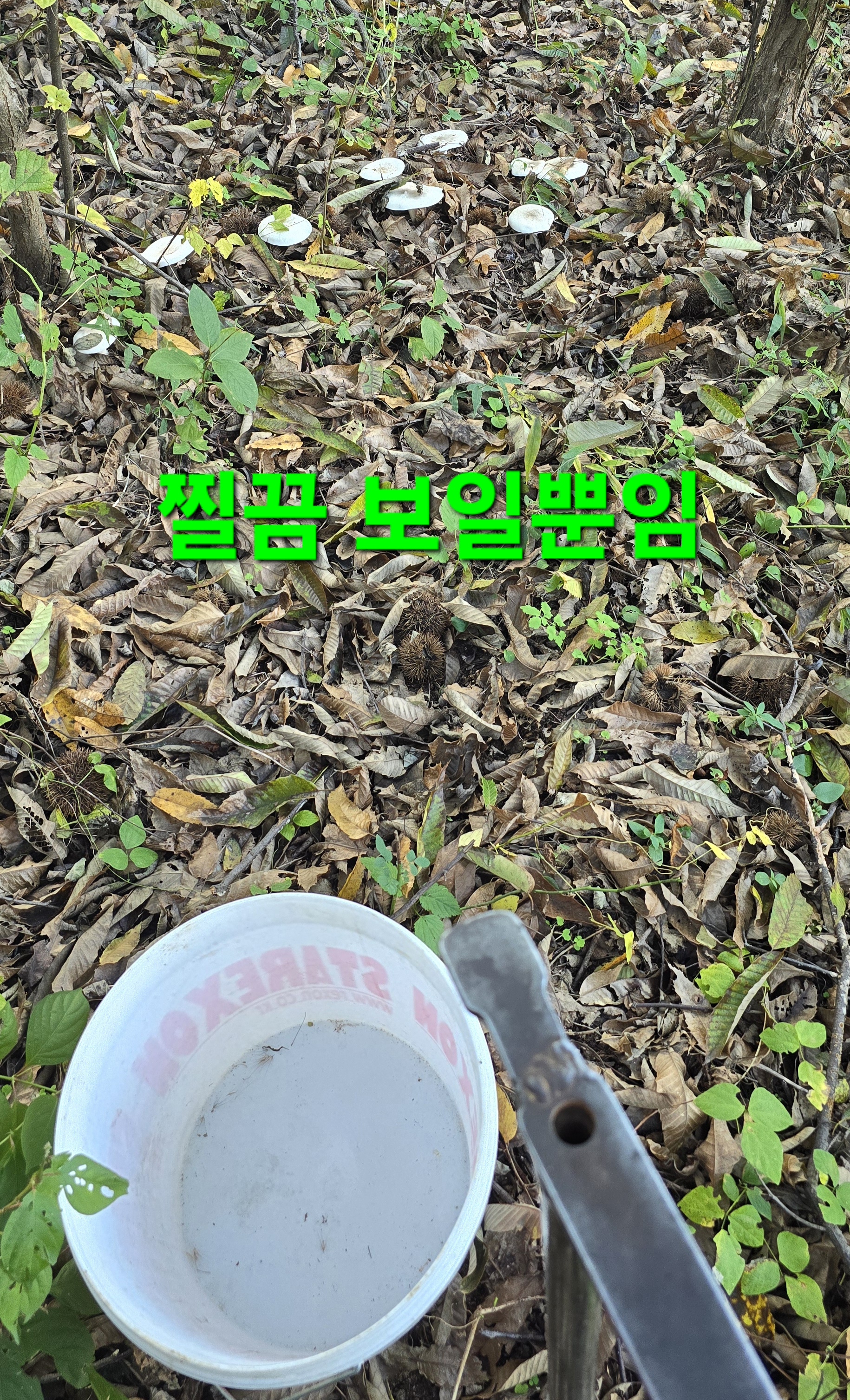 동행상조 이미지
