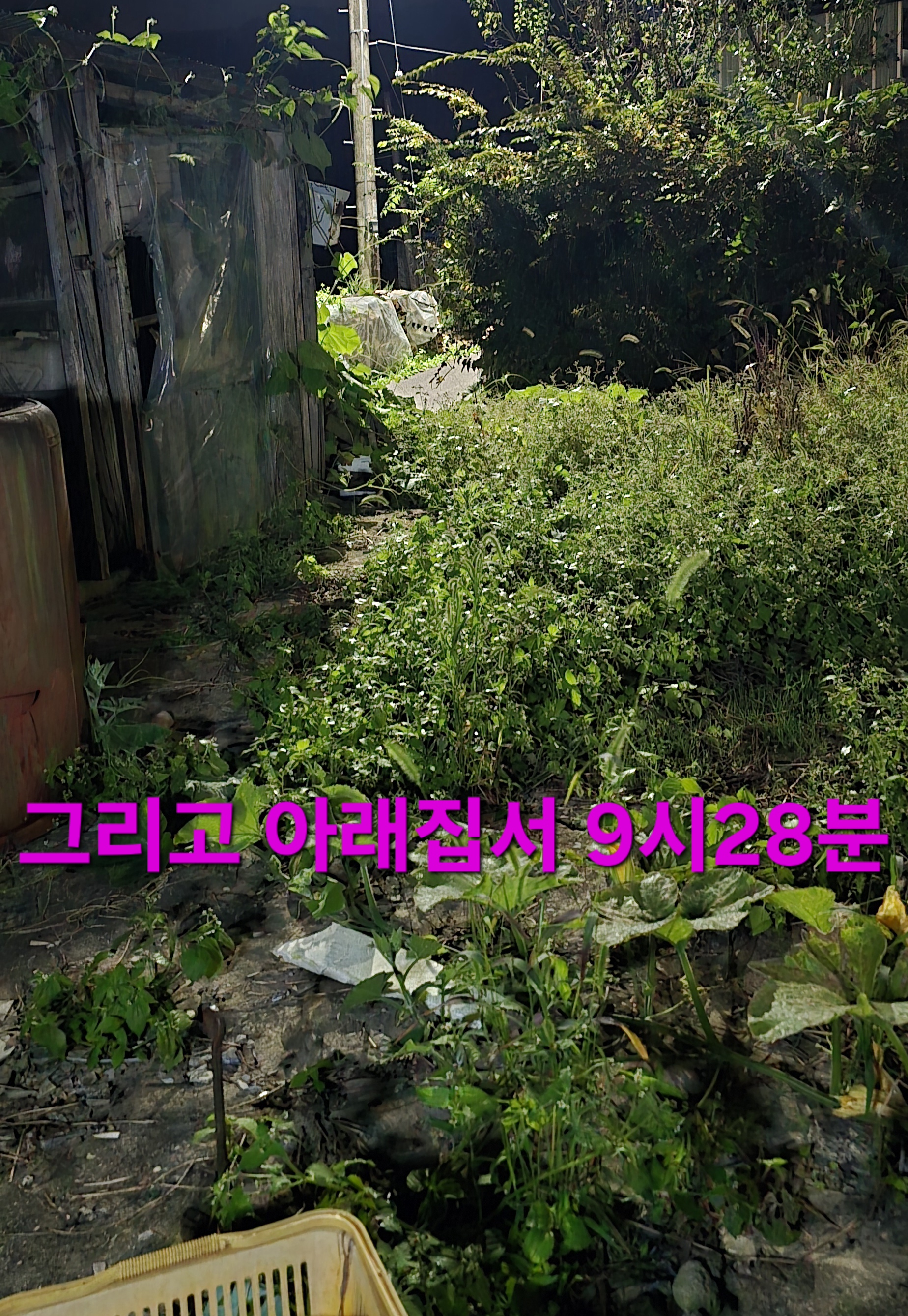 윈풀 이미지