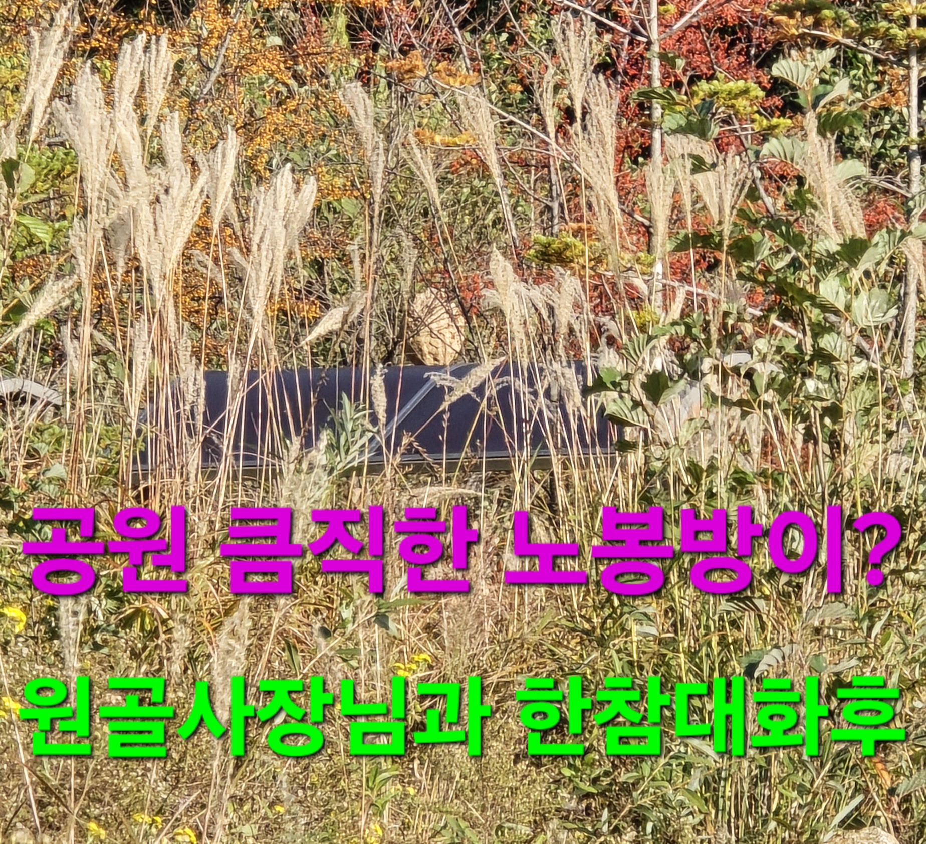 윈풀 이미지