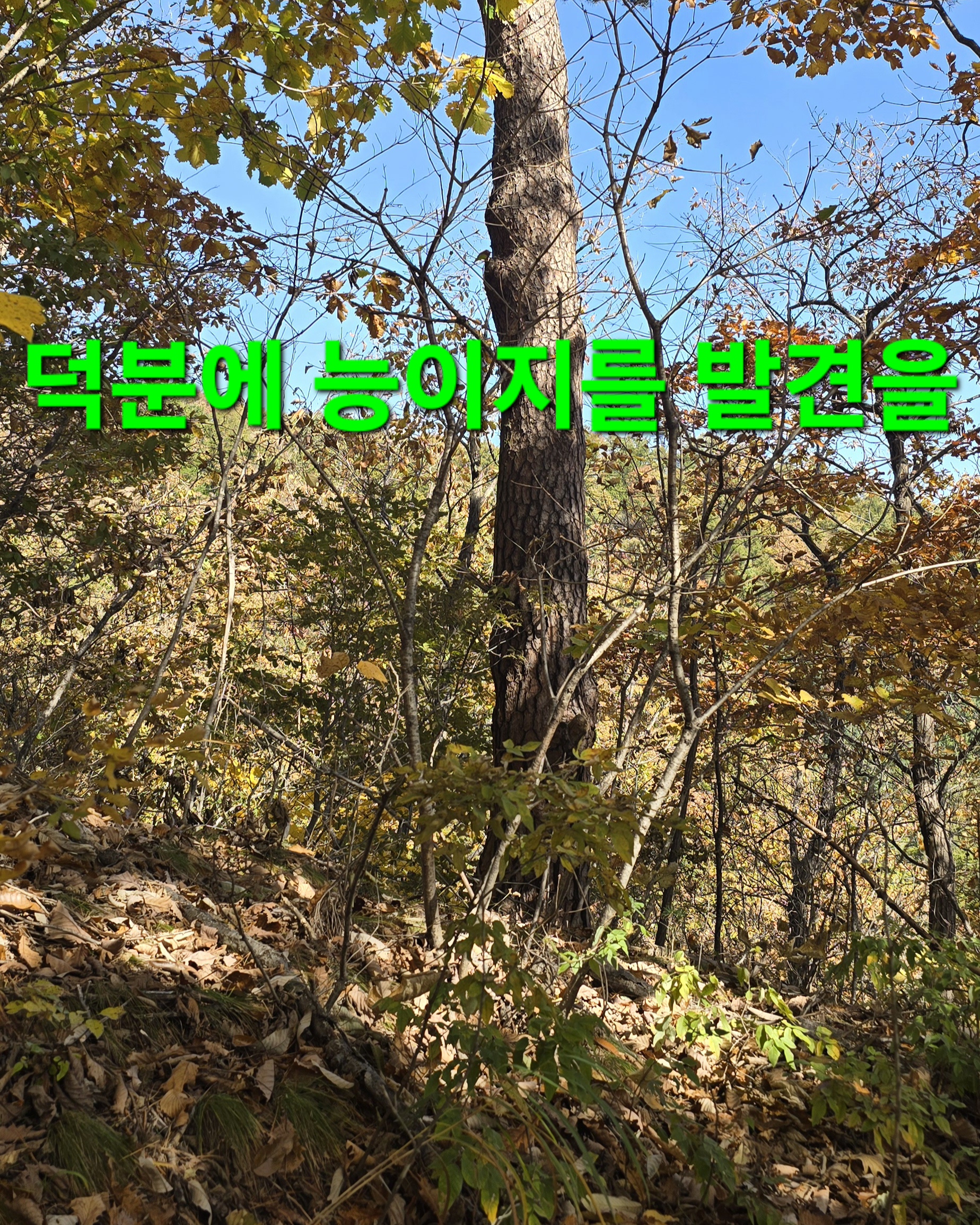 윈풀 이미지