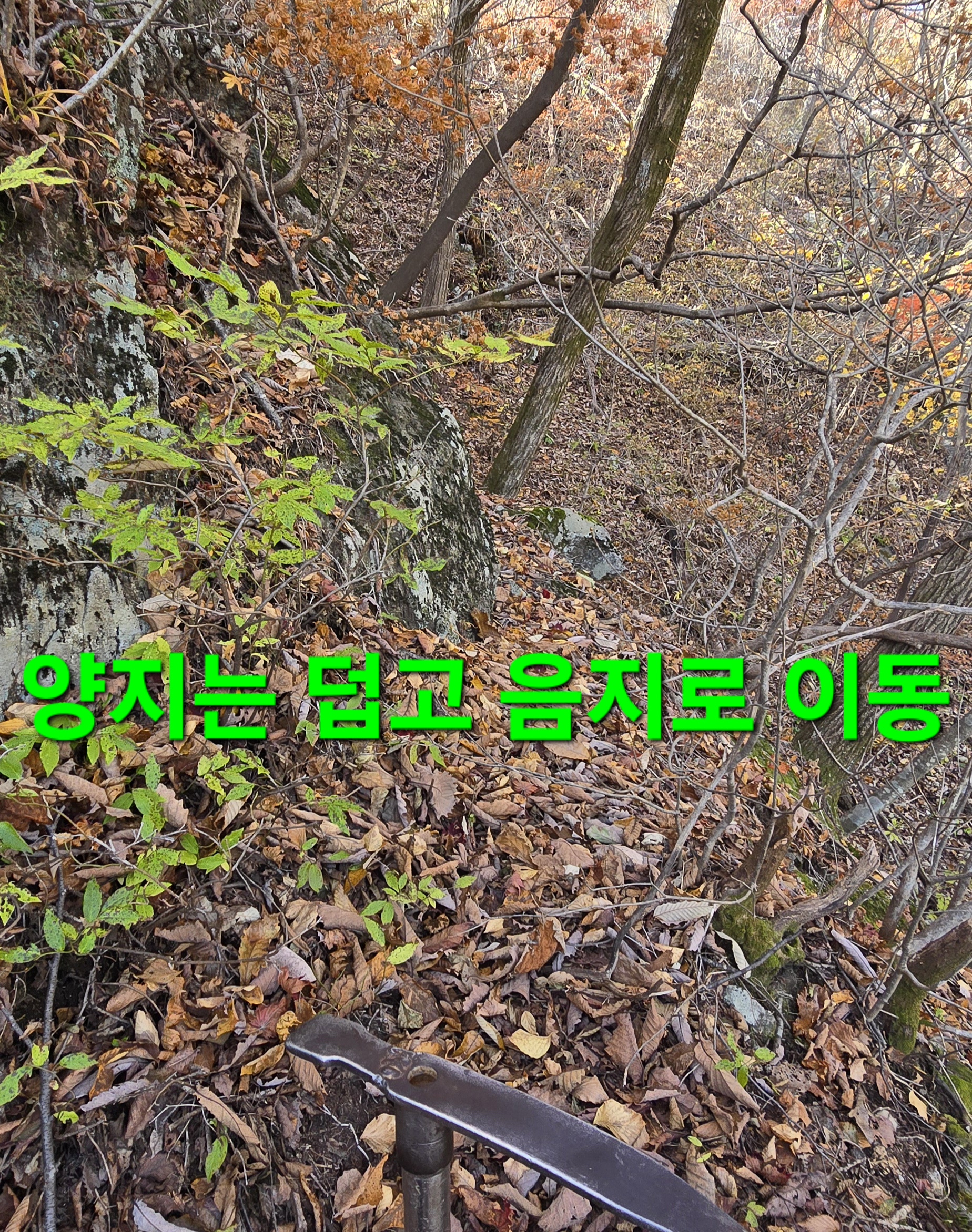 윈풀 이미지