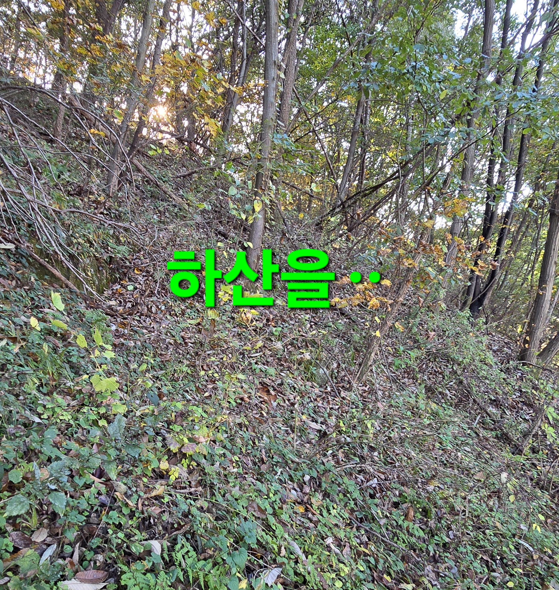 동행상조 이미지
