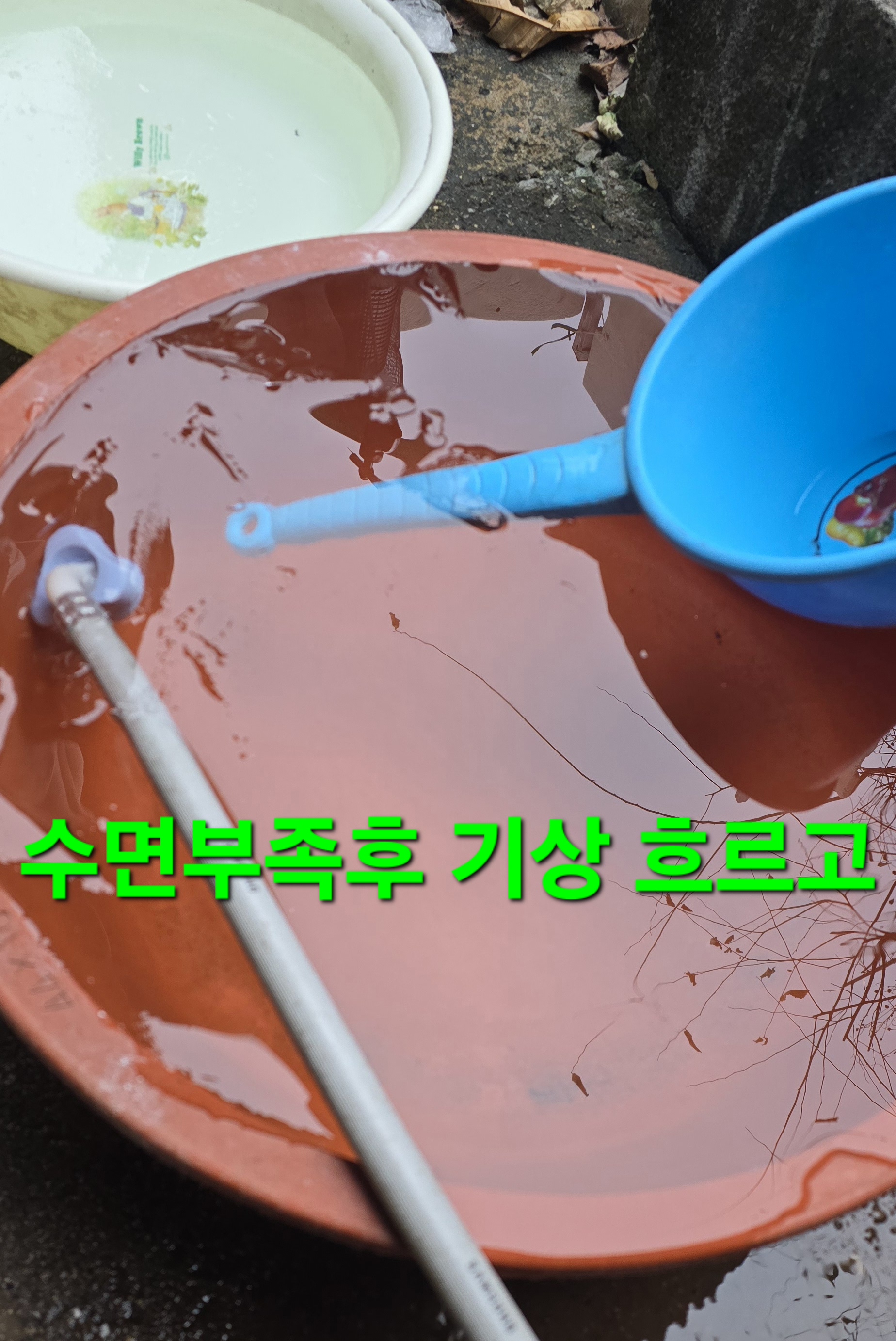 크로도 이미지