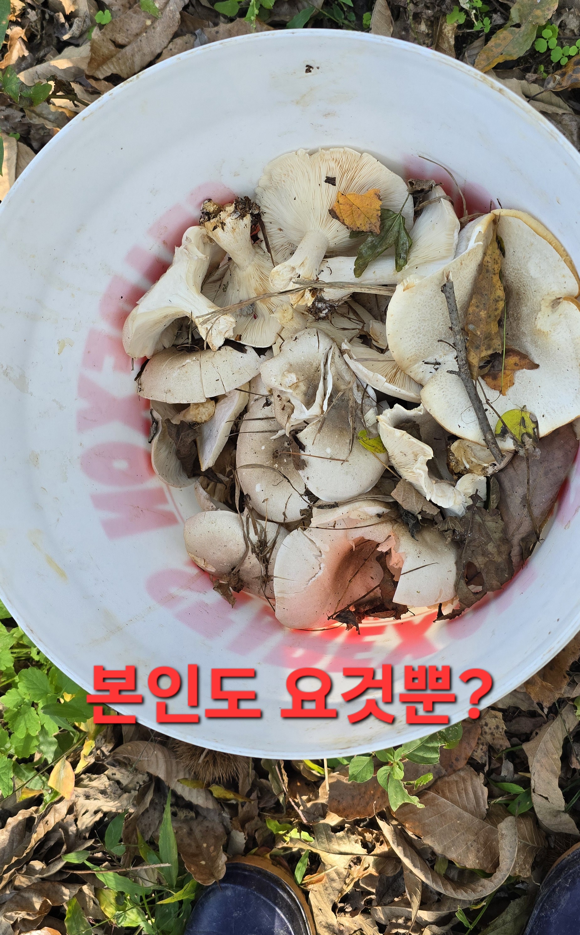 동행상조 이미지