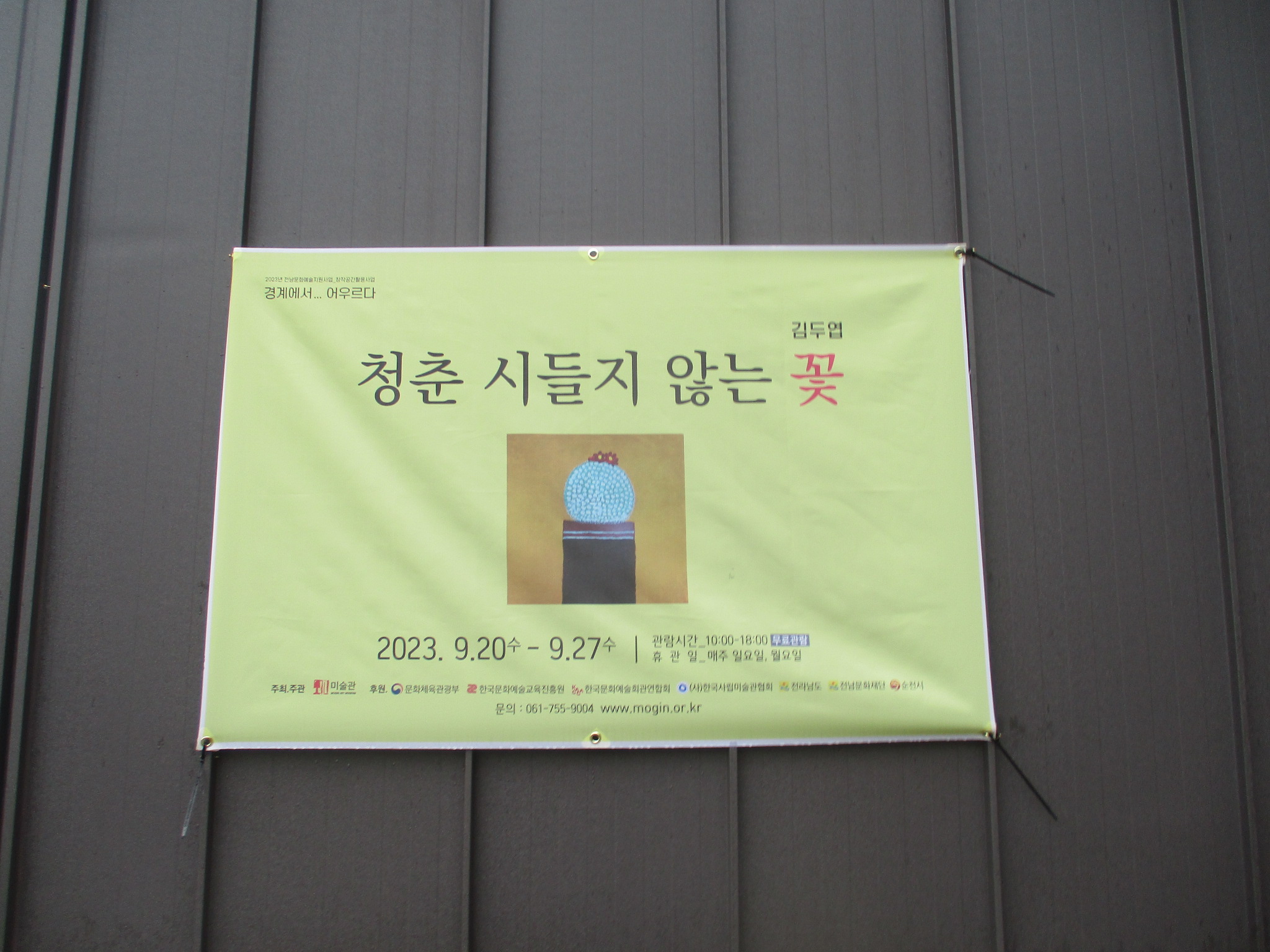 모긴미술관 이미지