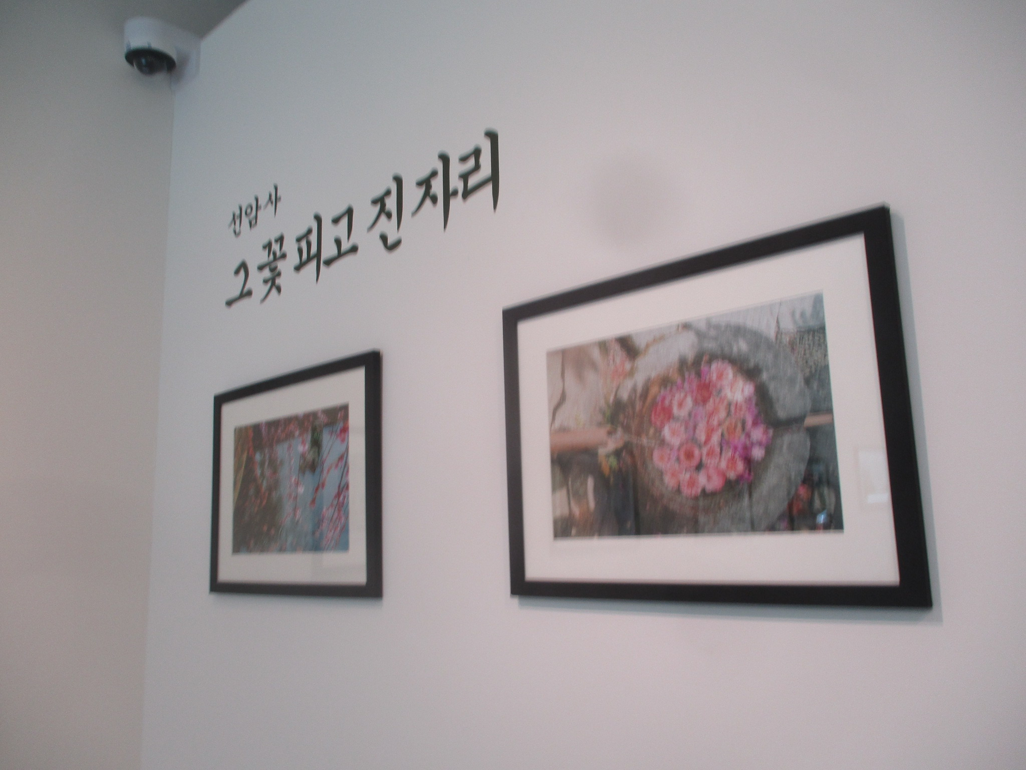 다담갤러리 이미지