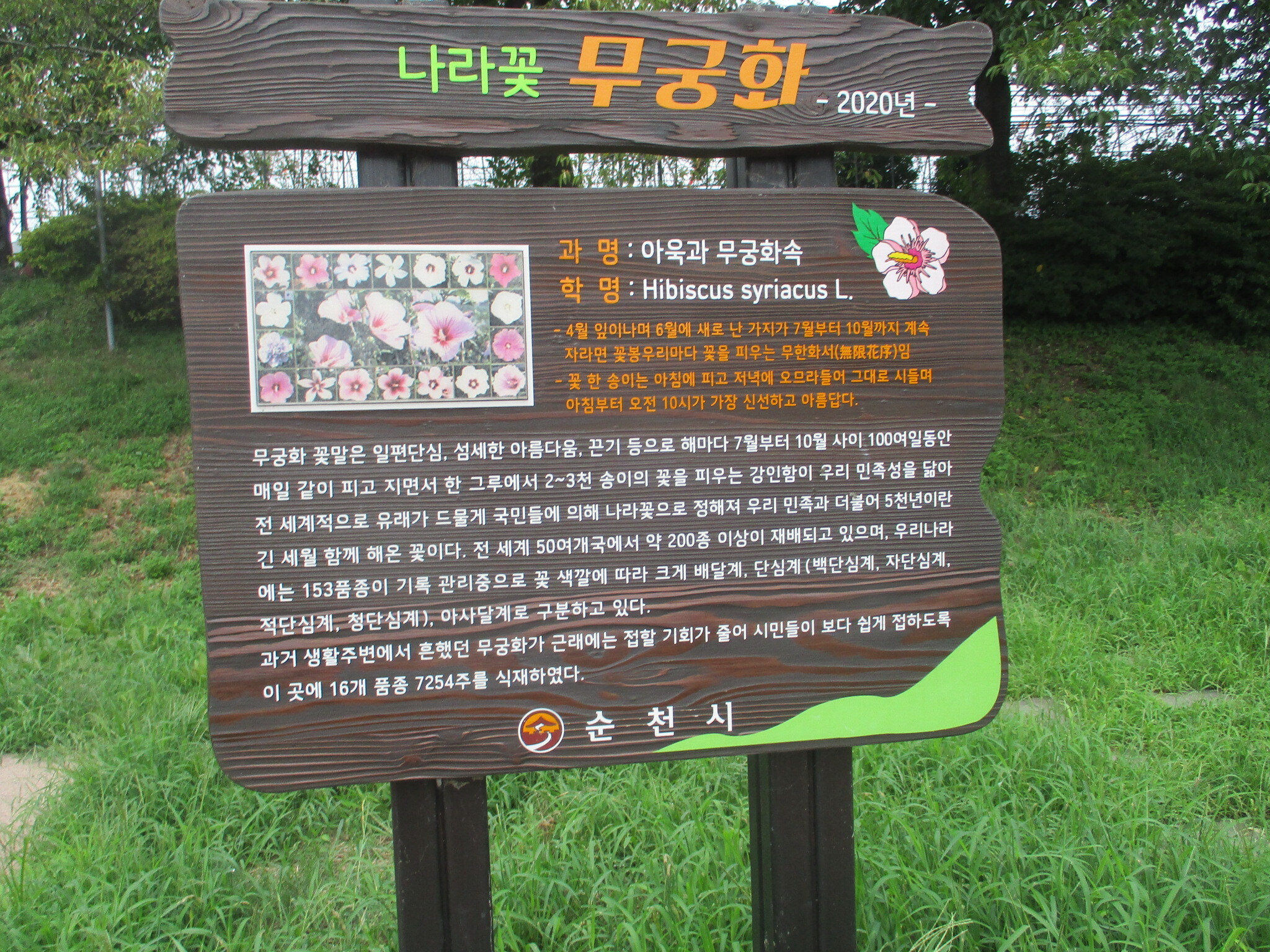 무궁화 정원 이미지