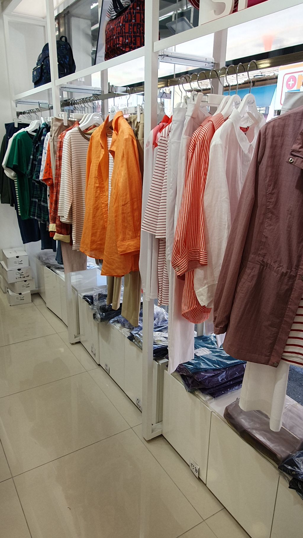 크로크다일 이미지