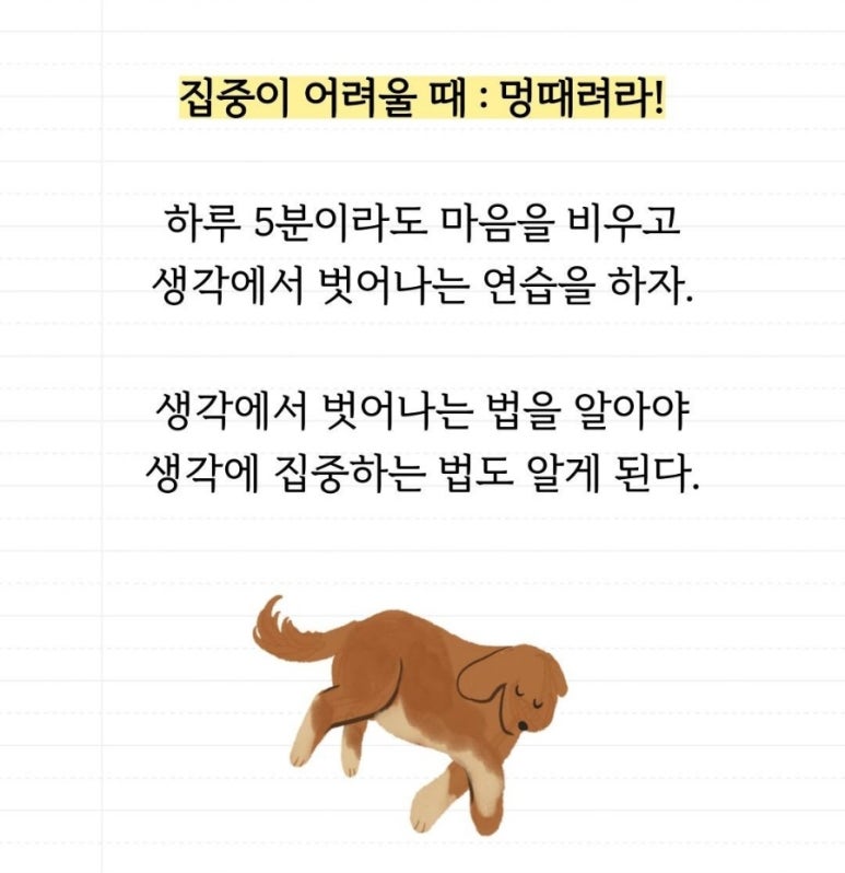 해라 이미지