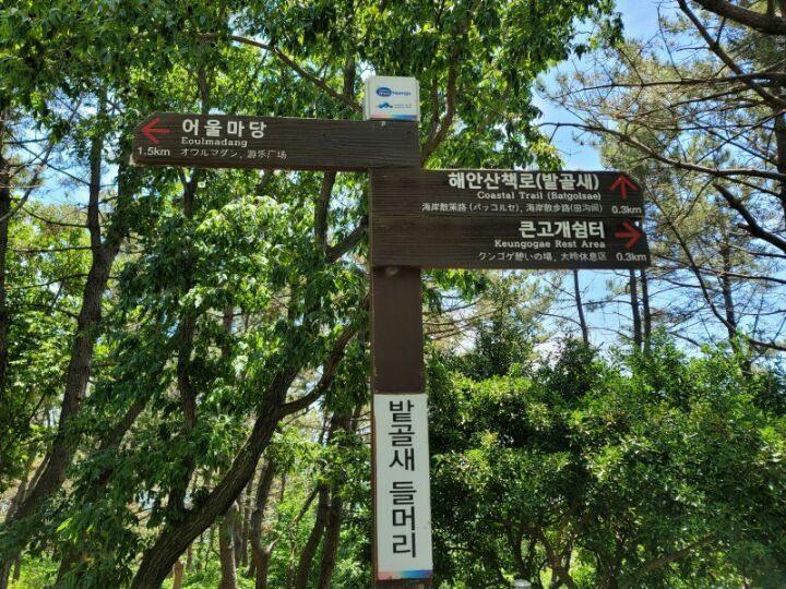 부부찐빵 이미지