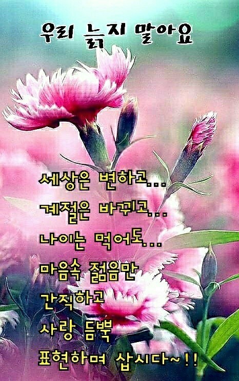 행복한 아침 이미지