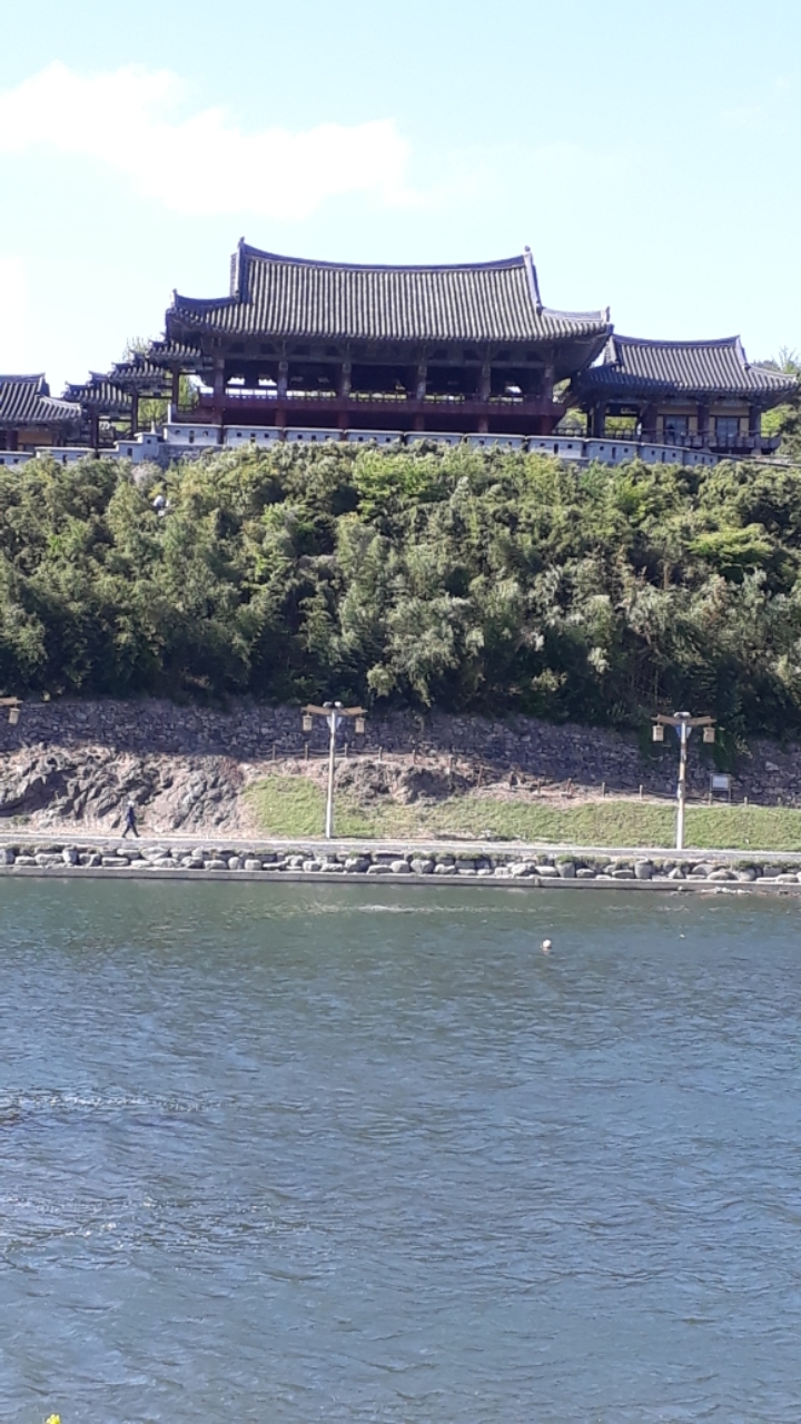 22(수) 밀양강 삼문동 둔치 주변 풍경(5) - 페이스북, 트위터 등 전파 - 밀양광장 (재악산 載岳山 載嶽山 ...) 184. 2020.4.22(수) 밀양강... 