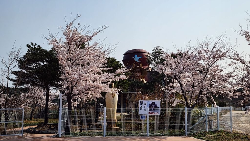 백구야놀자 이미지