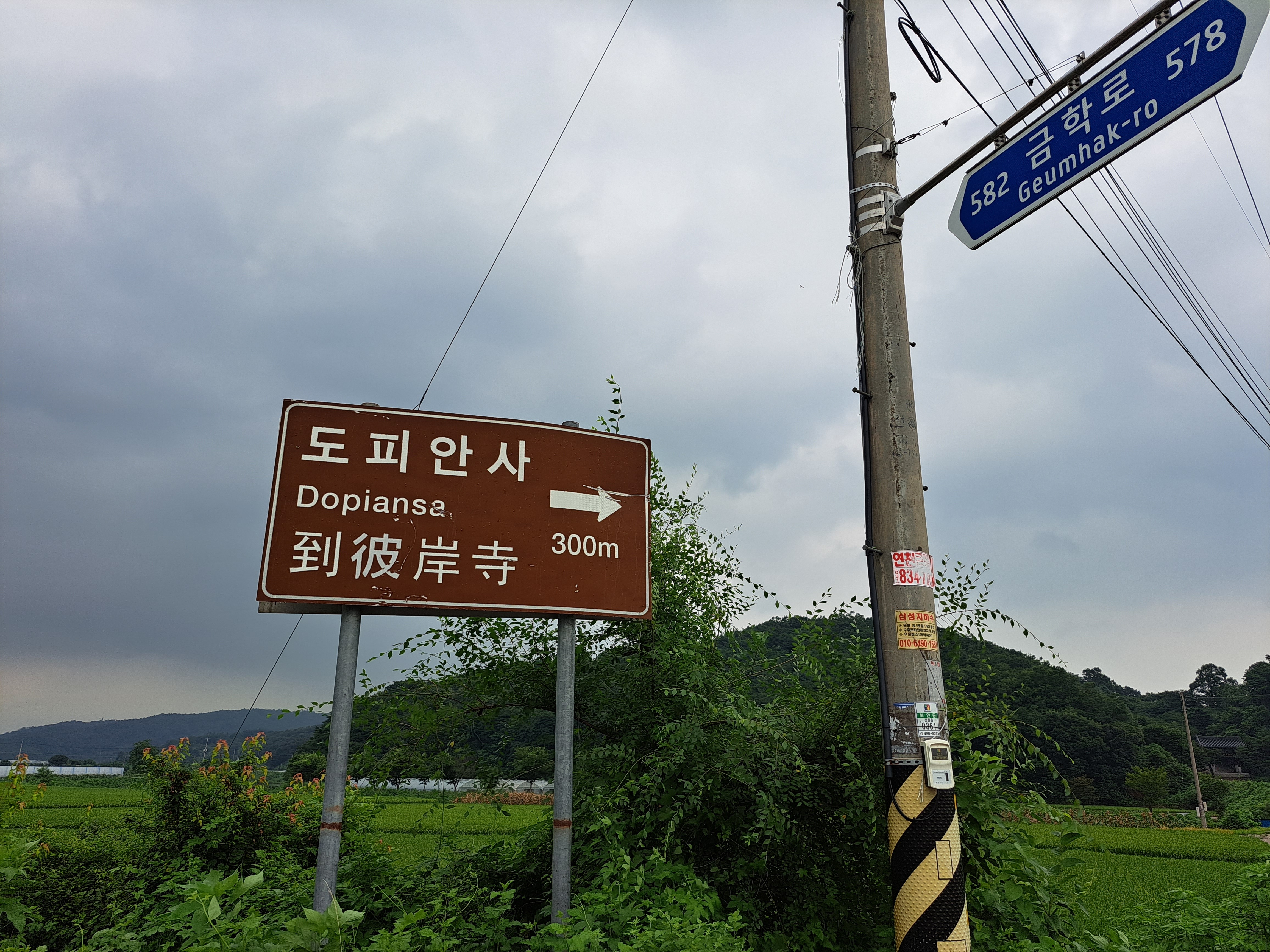 자비희사 이미지