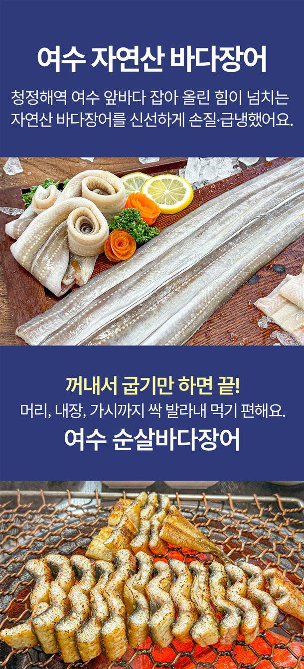 바다장어 이미지