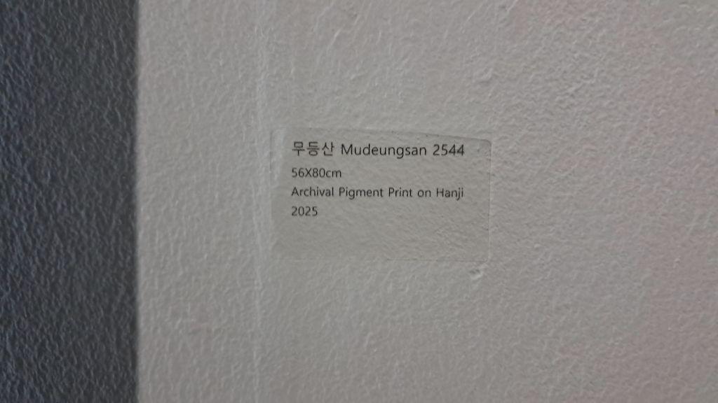 자하 이미지