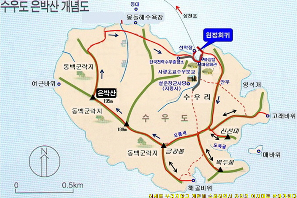 수아네일 이미지