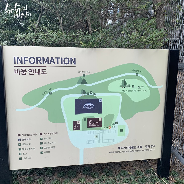 바움B 이미지