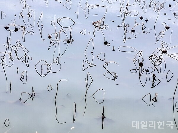 연이가 이미지