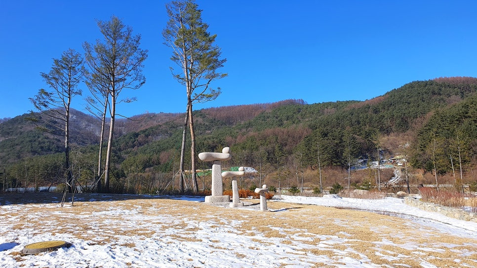 비치힐 이미지