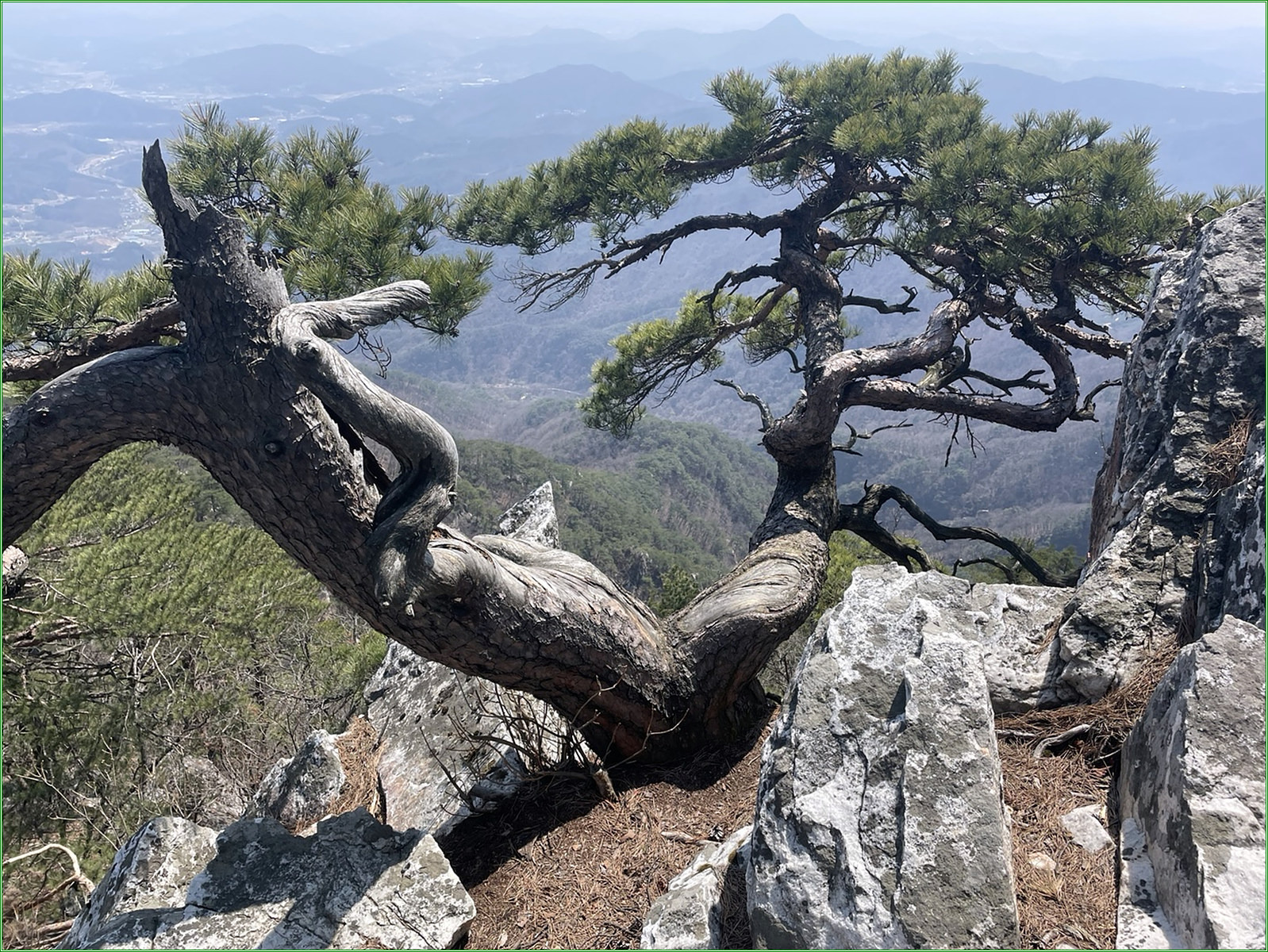 강대장 이미지