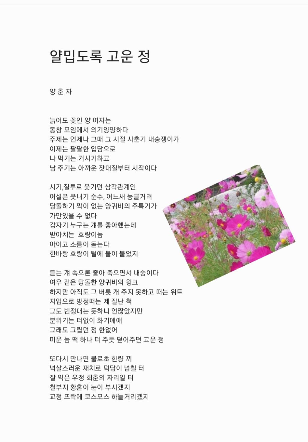 고운정 이미지