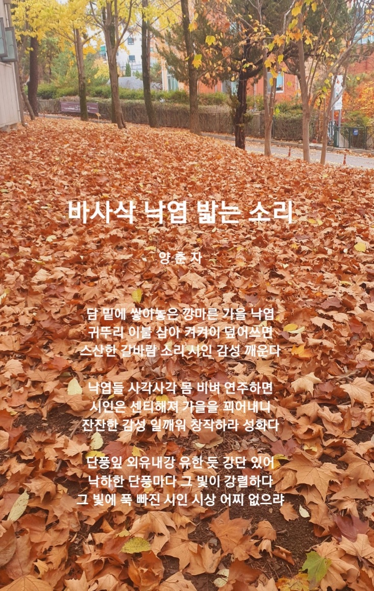 소리양 이미지