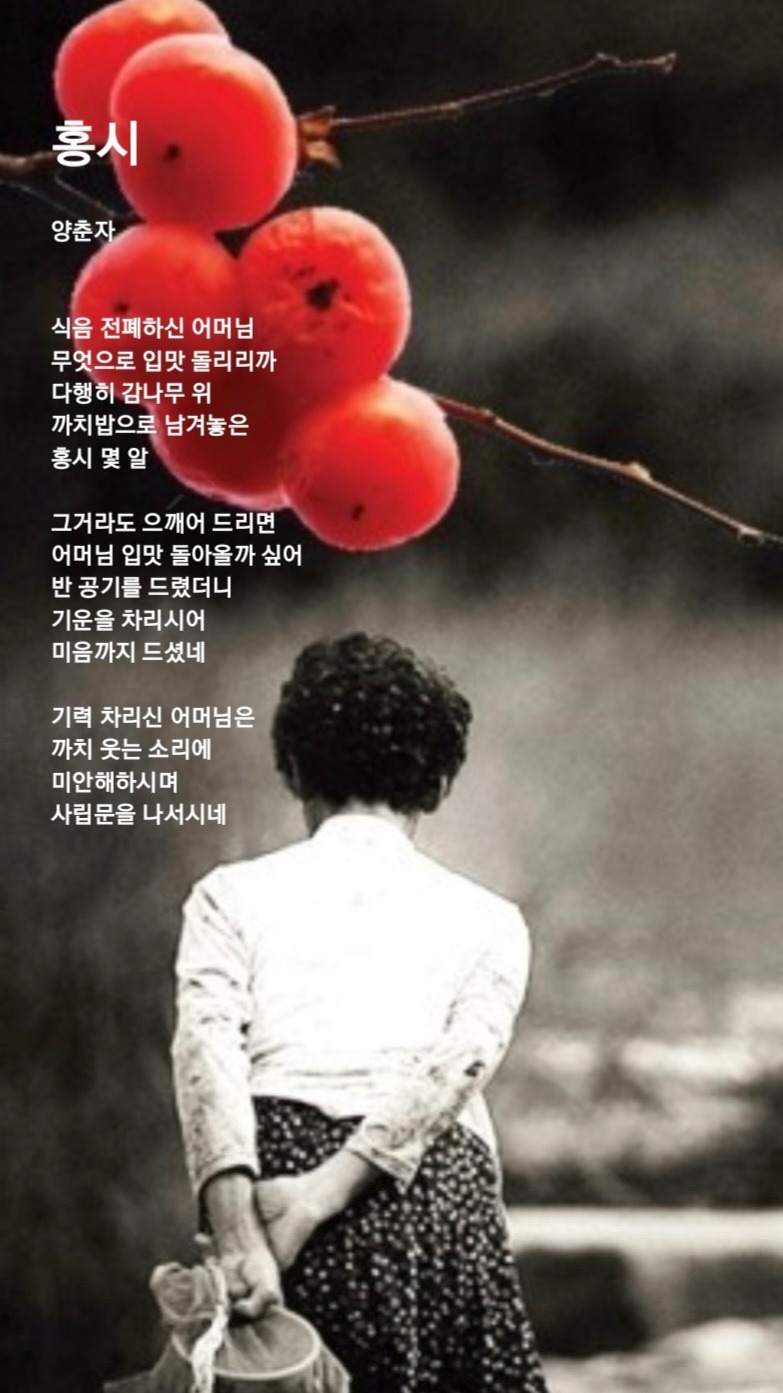 홍시 이미지