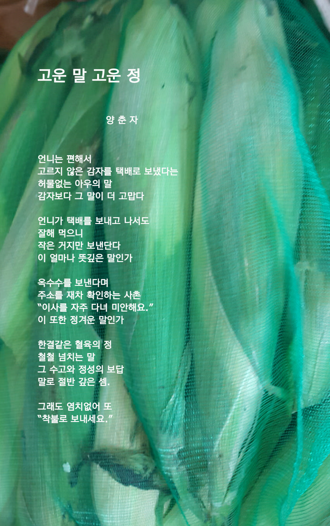 고운정 이미지