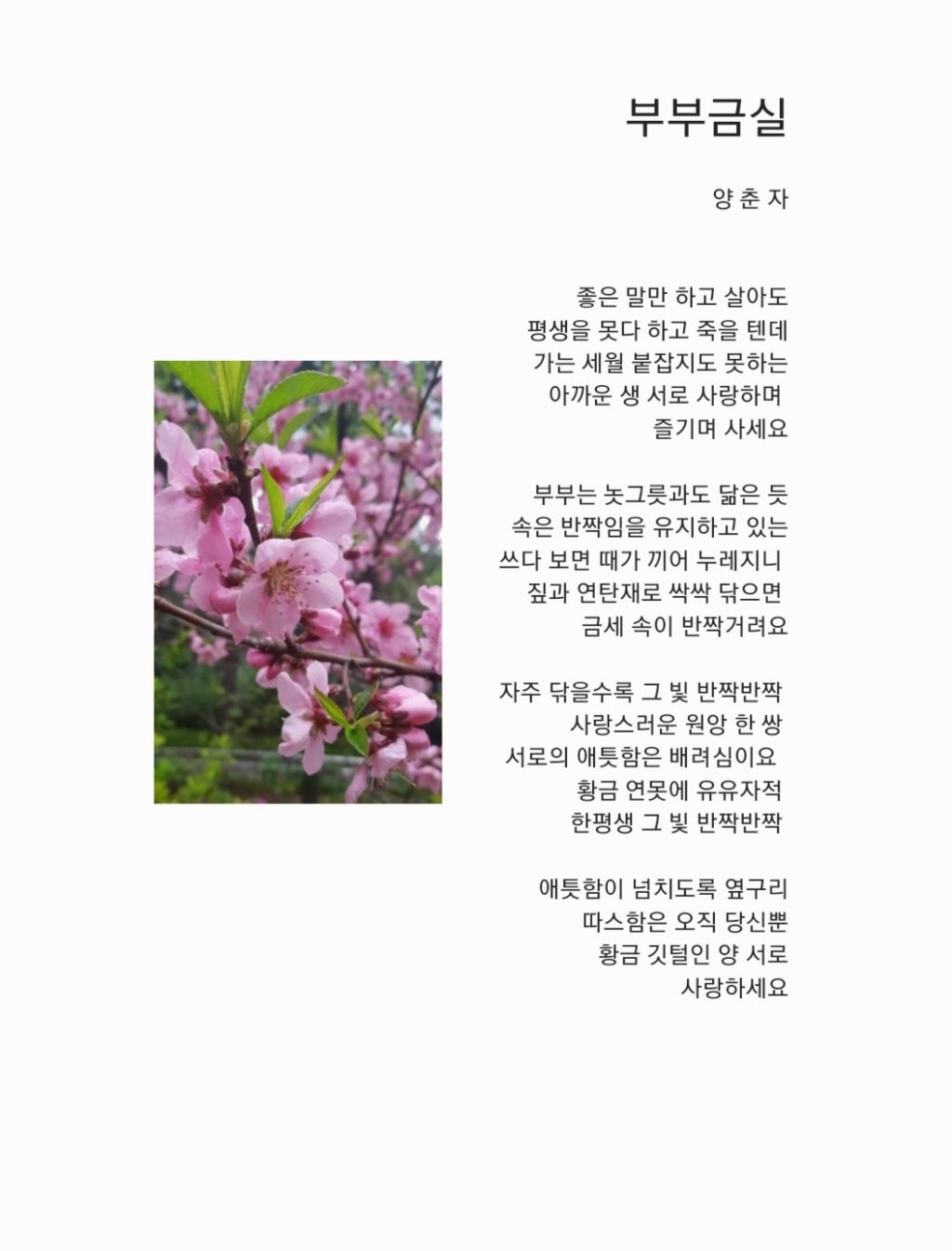 금실 이미지