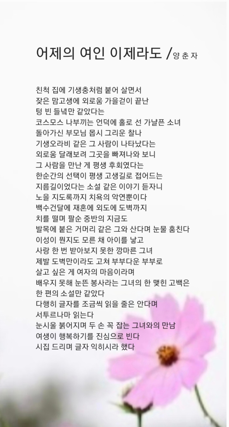 어제그집 이미지