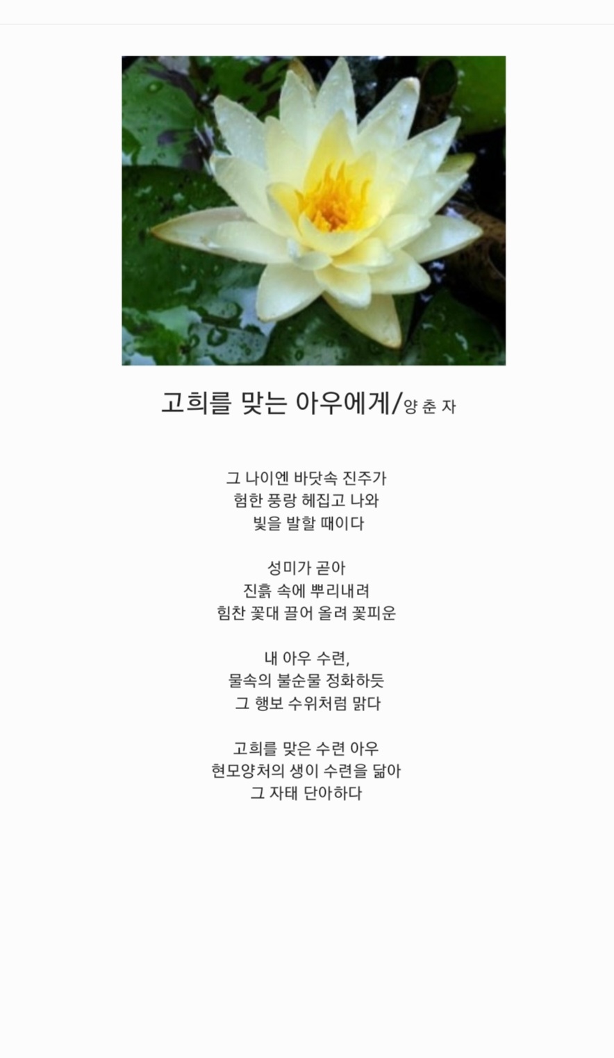 고희 이미지