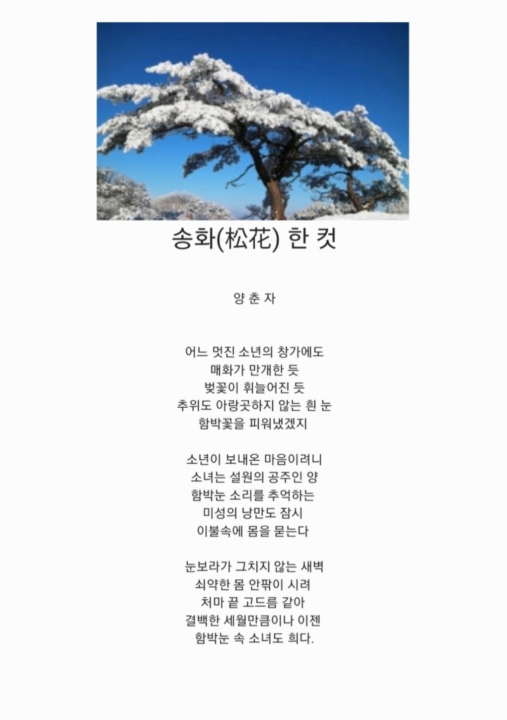 송화 이미지