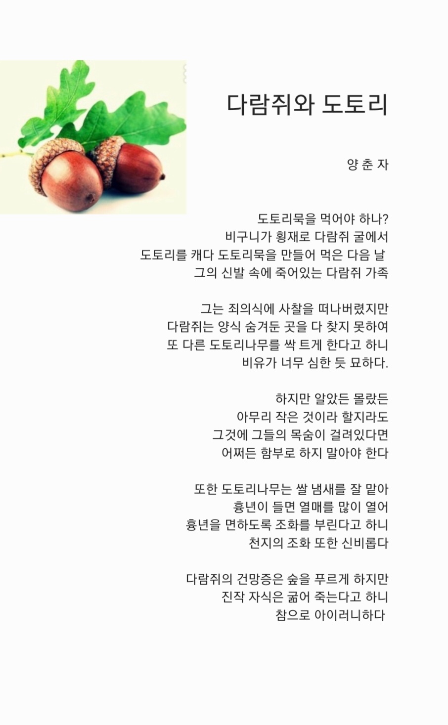 다람쥐굴 이미지