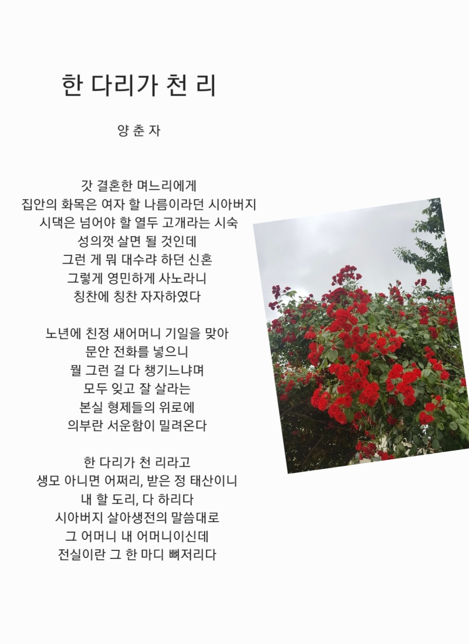 한다리 이미지