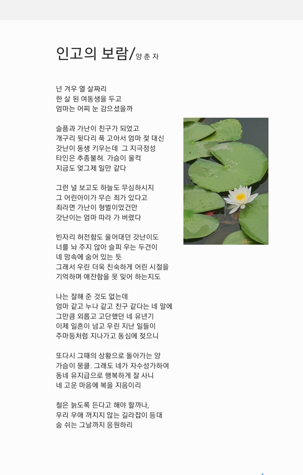 인고고 이미지
