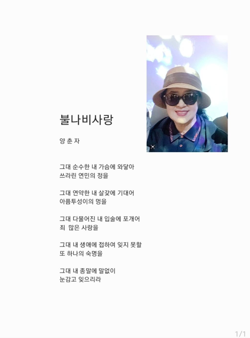 불나비 이미지