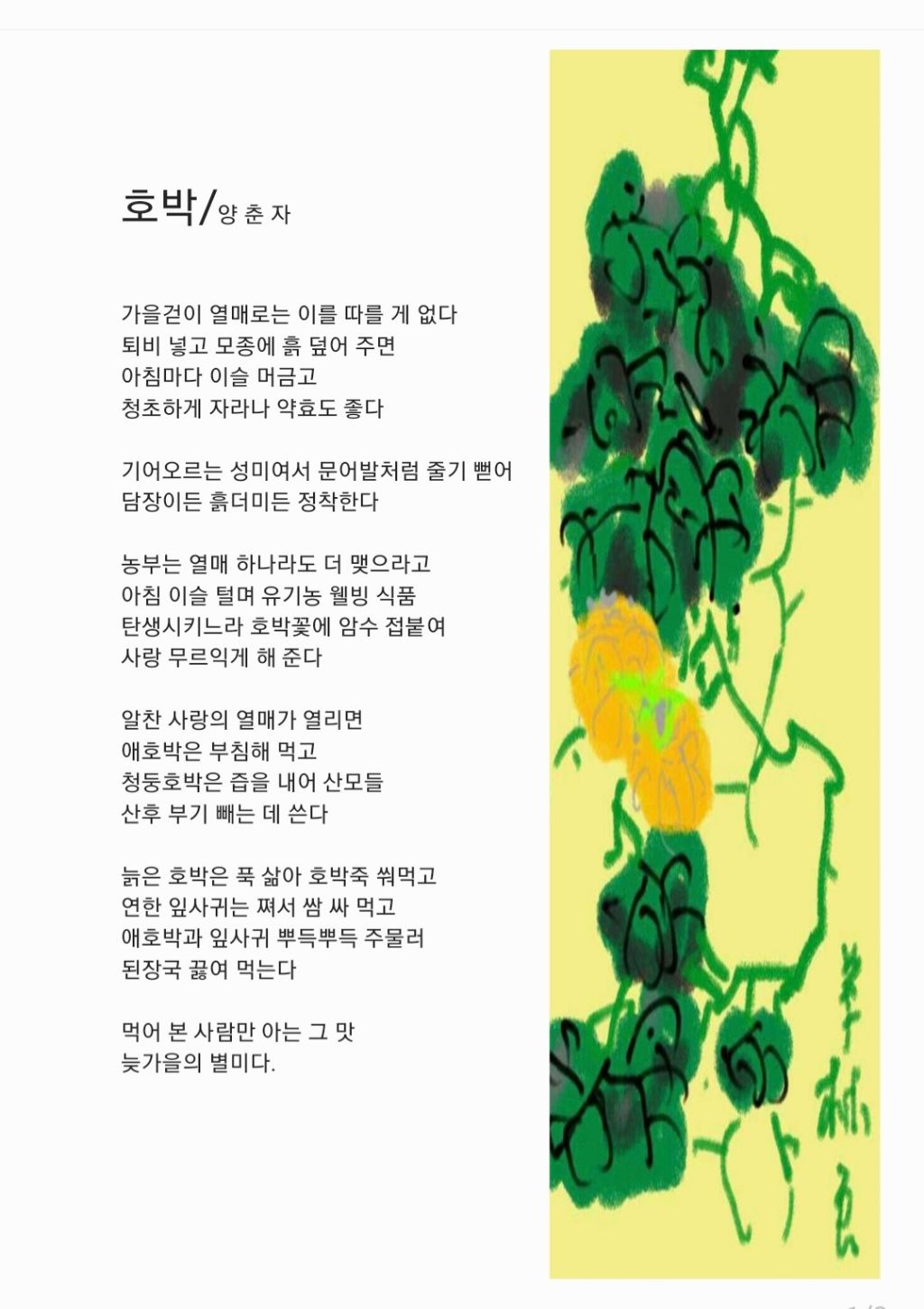 호박꽃식품 이미지