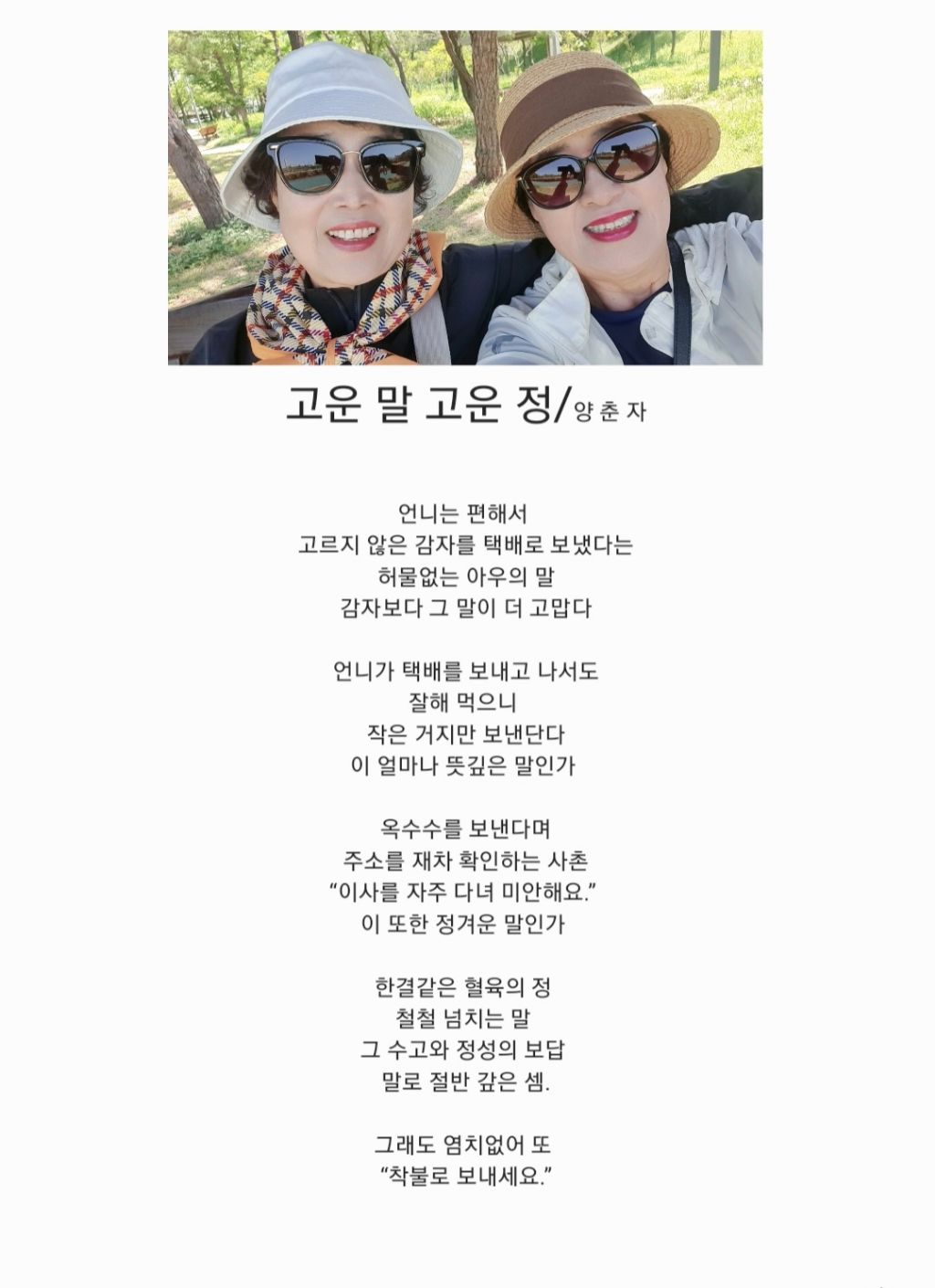 고운정 이미지