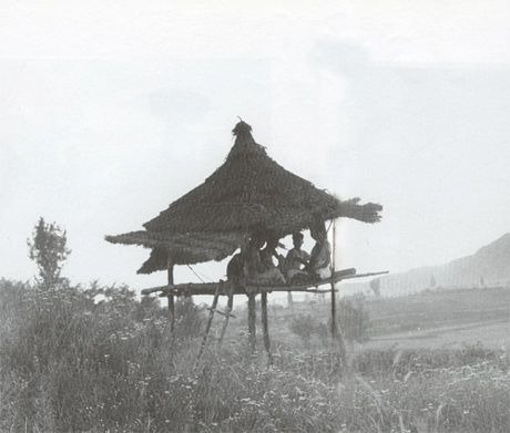원두막 이미지