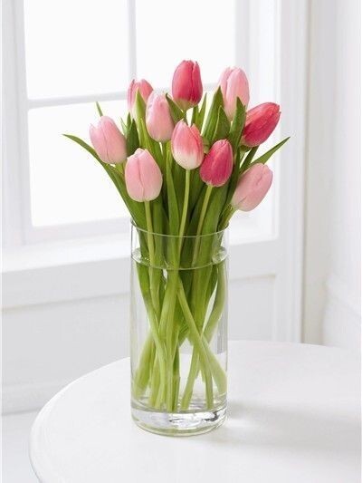 테이블원 이미지
