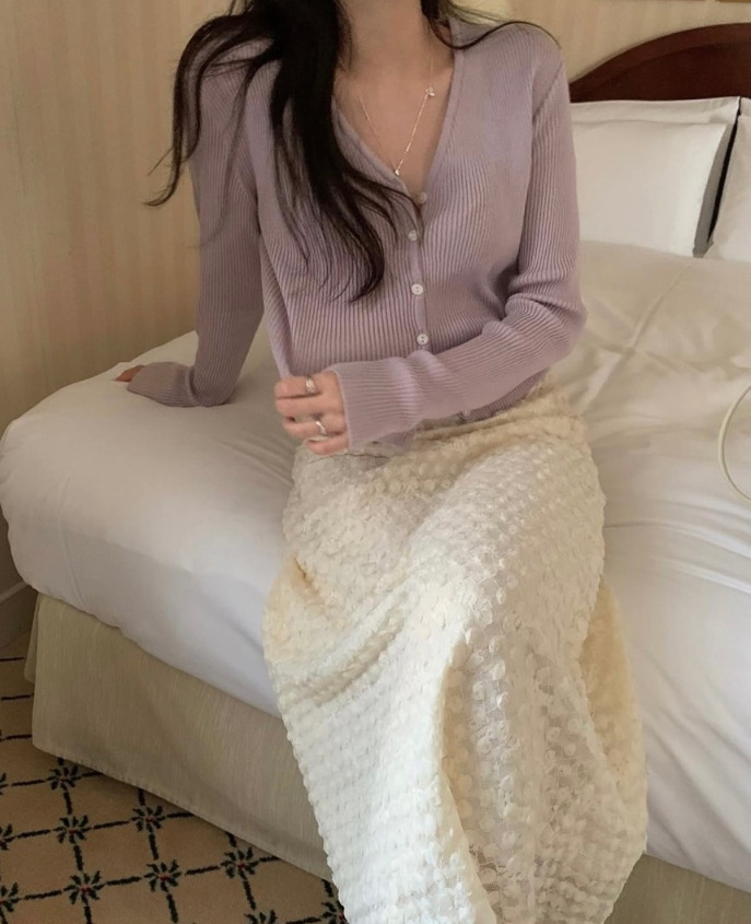 페브 이미지