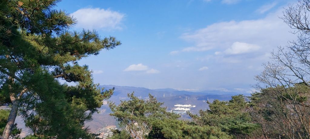 염광의원 이미지