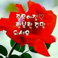늘처음처럼 이미지