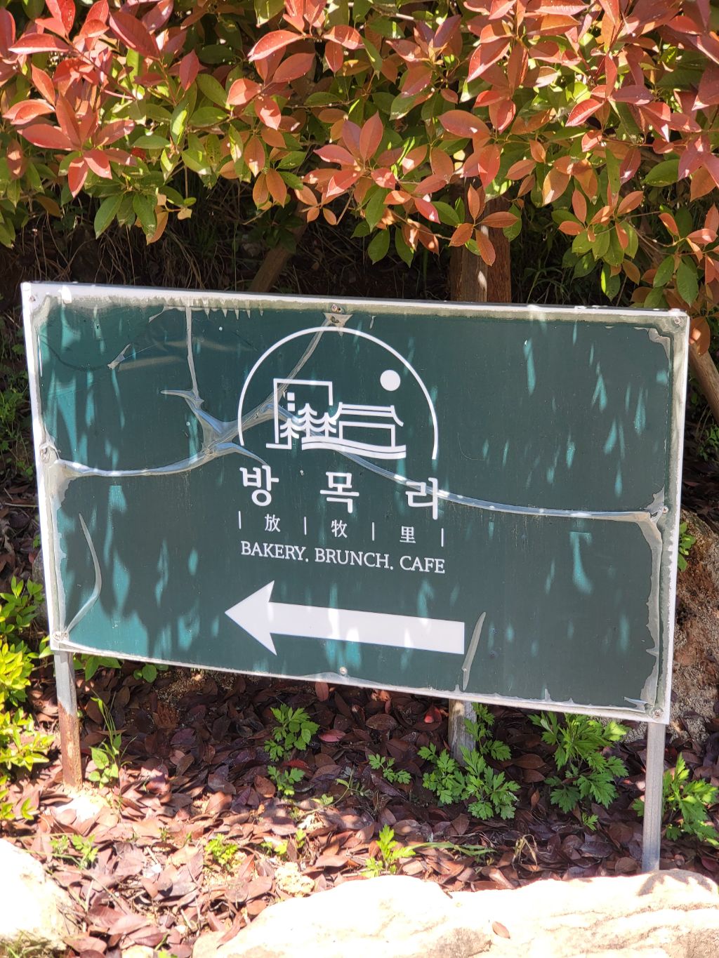 방목리 카페 이미지