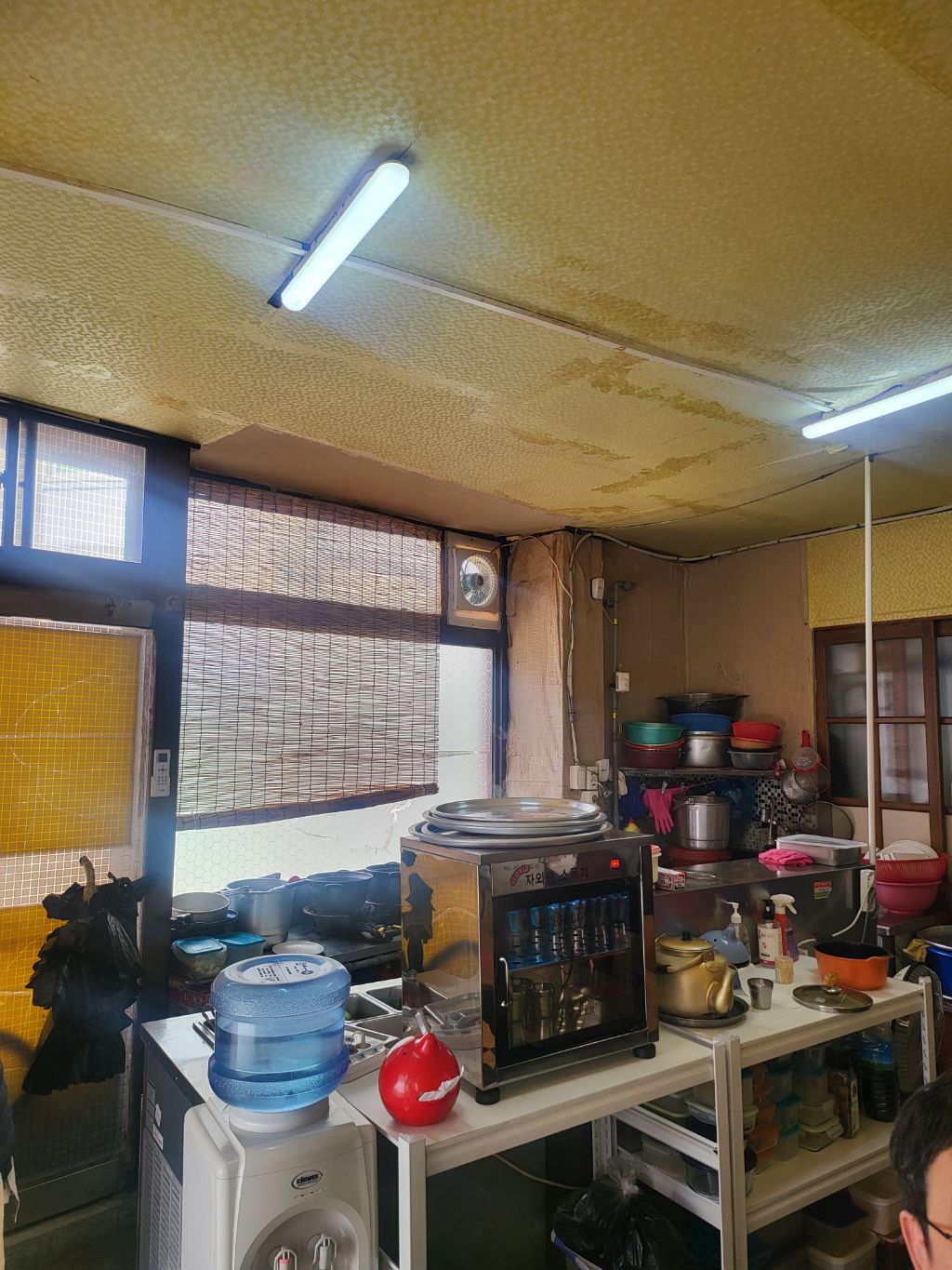 달맞이꽃 분식 이미지