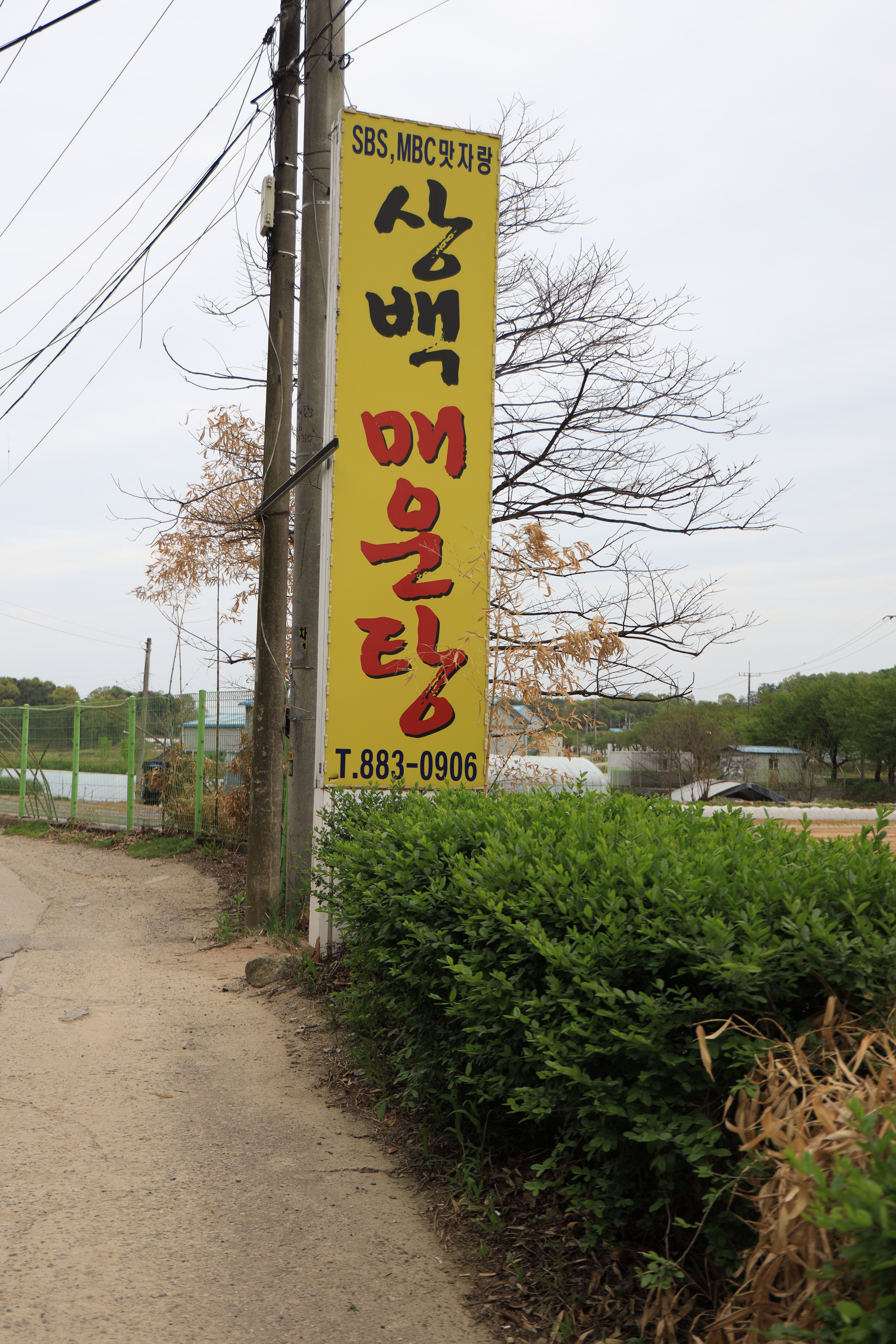 상백매운탕 이미지