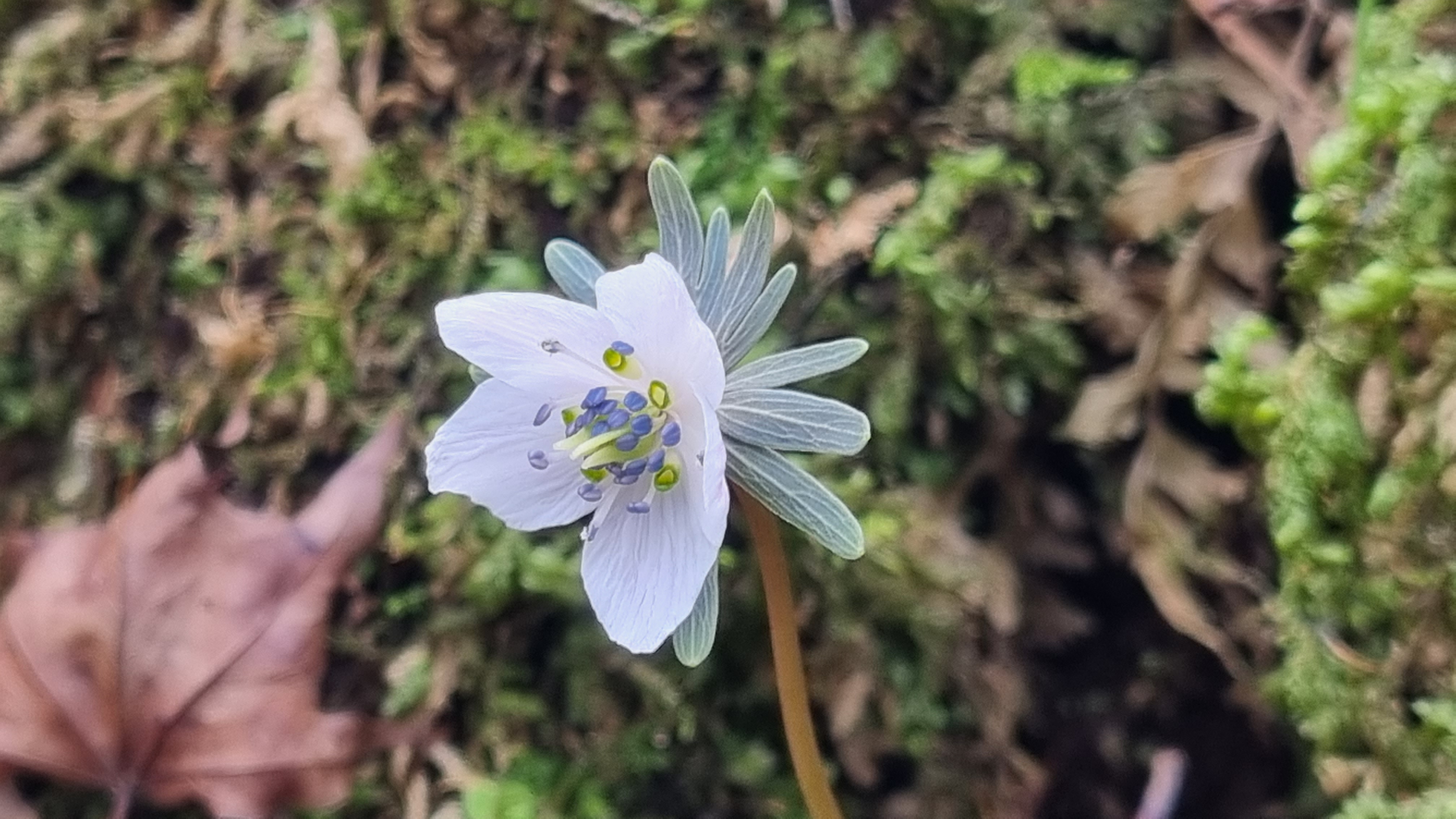 (주)오름 이미지