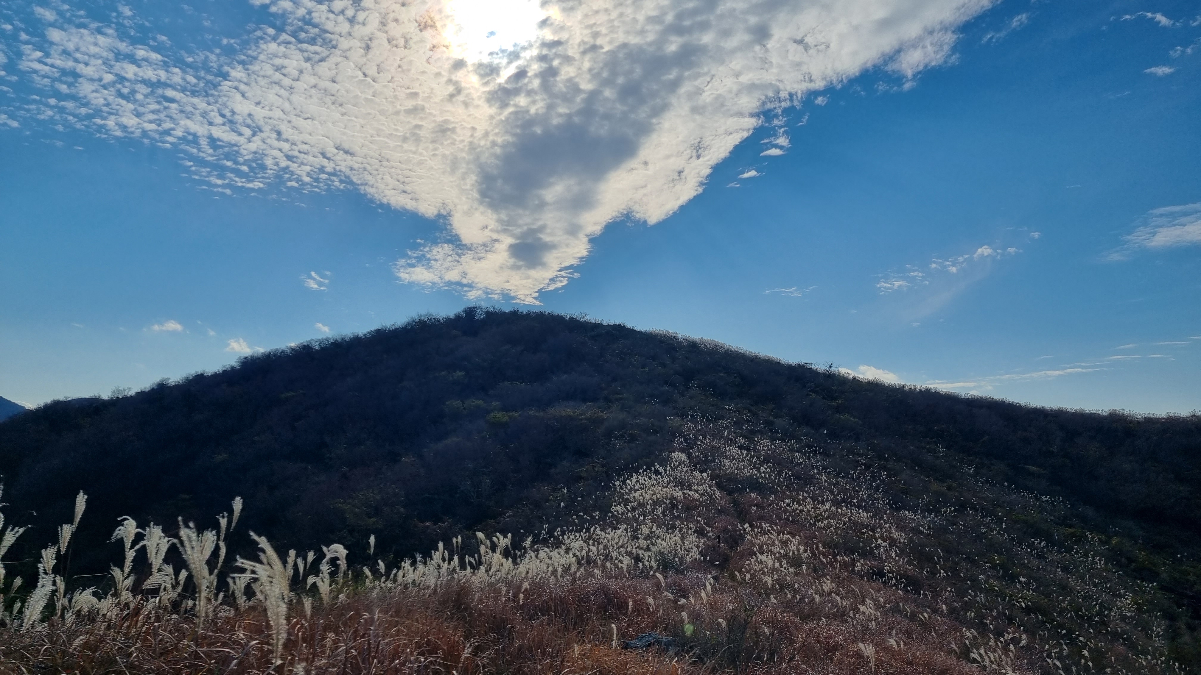 (주)오름 이미지